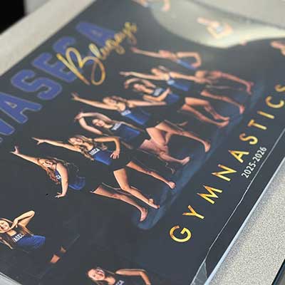 Waseca High School Gymnastics Posters